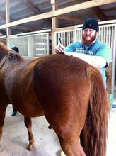 Animal Neuro-myofascial Release Technique (Alignment) - Online - Animal Rehabilitation Australia