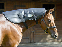 Equine PEMF Therapy Neck Blanket - Animal Rehabilitation Australia