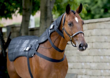 Equine PEMF Therapy Back Blanket - Animal Rehabilitation Australia