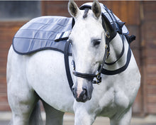 Equine PEMF Therapy Back Blanket - Animal Rehabilitation Australia