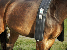 Equine PEMF Therapy Shoulder Band - Animal Rehabilitation Australia