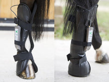 Equine PEMF Therapy Hind Leg Wrap - Animal Rehabilitation Australia