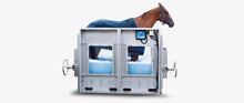 Horse Water Treadmill (from $135,000 + GST) - Animal Rehabilitation Australia