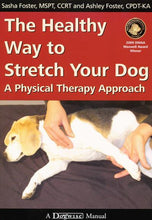 The Healthy Way To Stretch Your Dog - A Physical Therapy Approach - Animal Rehabilitation Australia