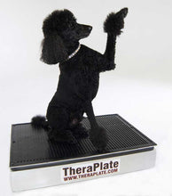Theraplate for Dogs and Small Animals - Animal Rehabilitation Australia