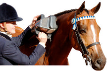 Equine Professional Massager - Animal Rehabilitation Australia
